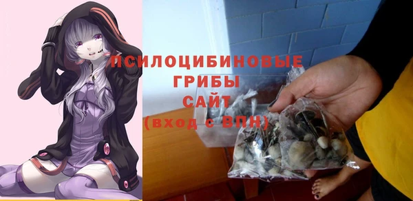 амф Пыталово