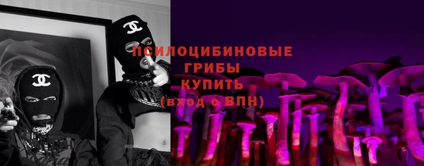 твердый Лиски