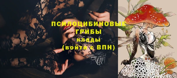 ПСИЛОЦИБИНОВЫЕ ГРИБЫ Магадан