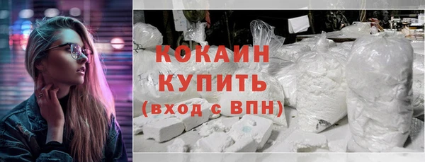 сатива Магас