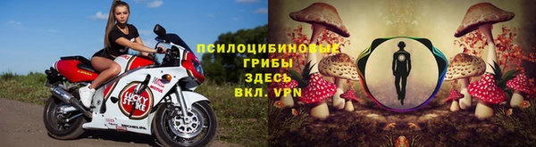 твердый Лиски