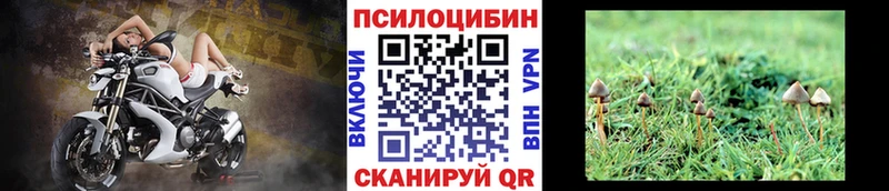 Псилоцибиновые грибы MAGIC MUSHROOMS Сусуман